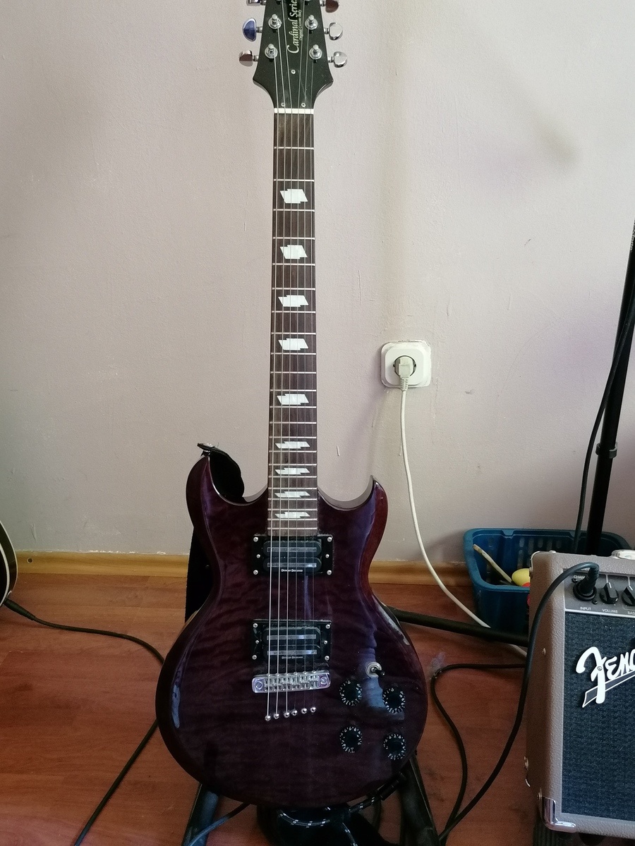 poganski_obredi's music gear photo