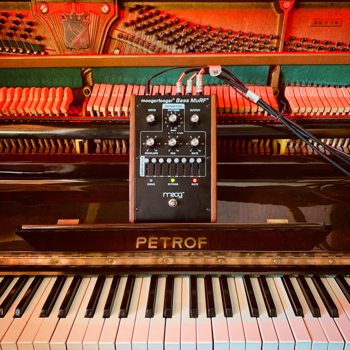 navin_kala's music gear photo