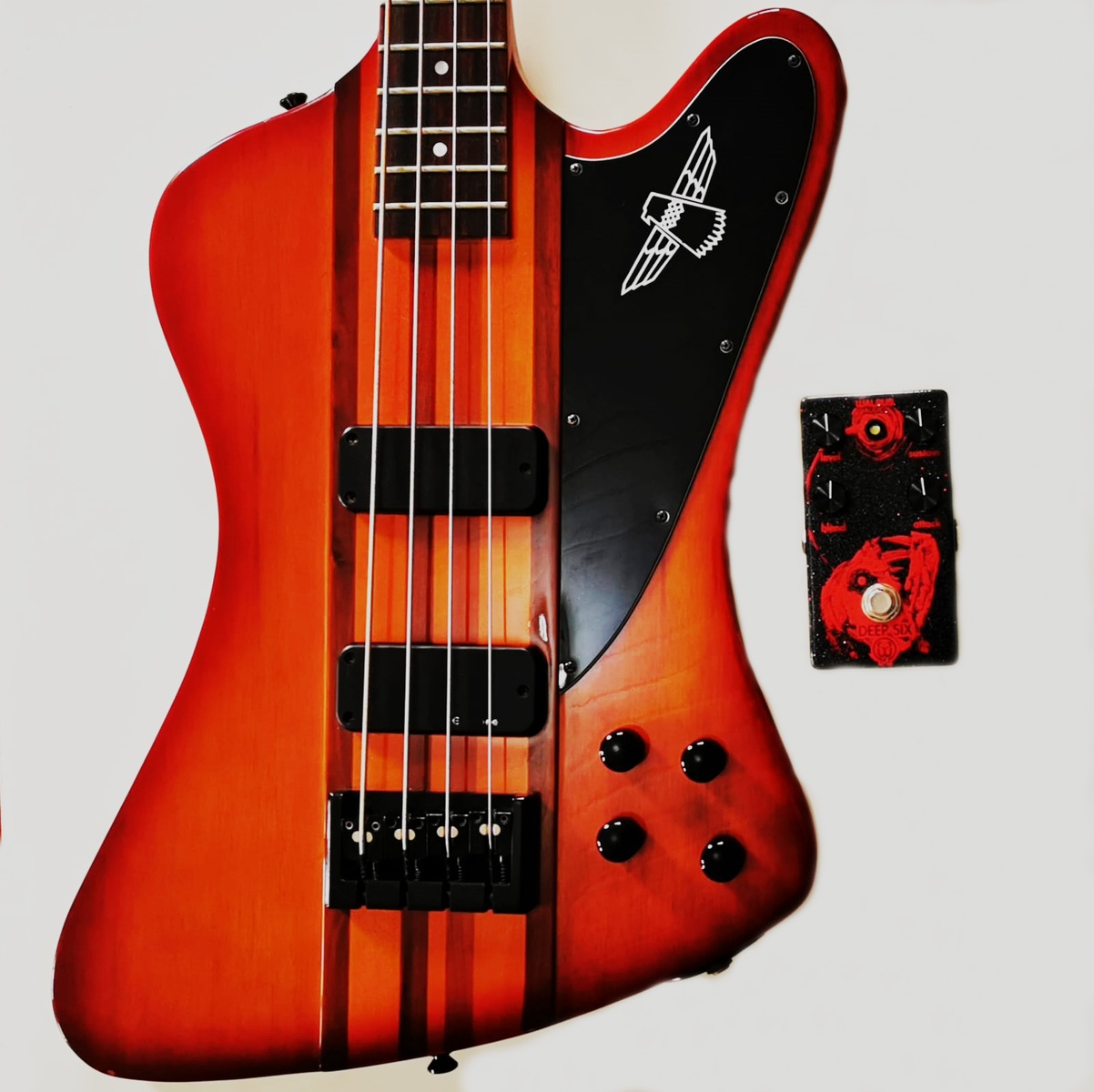 Music Gear Setup by jwettel featuring Epiphone Thunderbird Classic-IV Pro