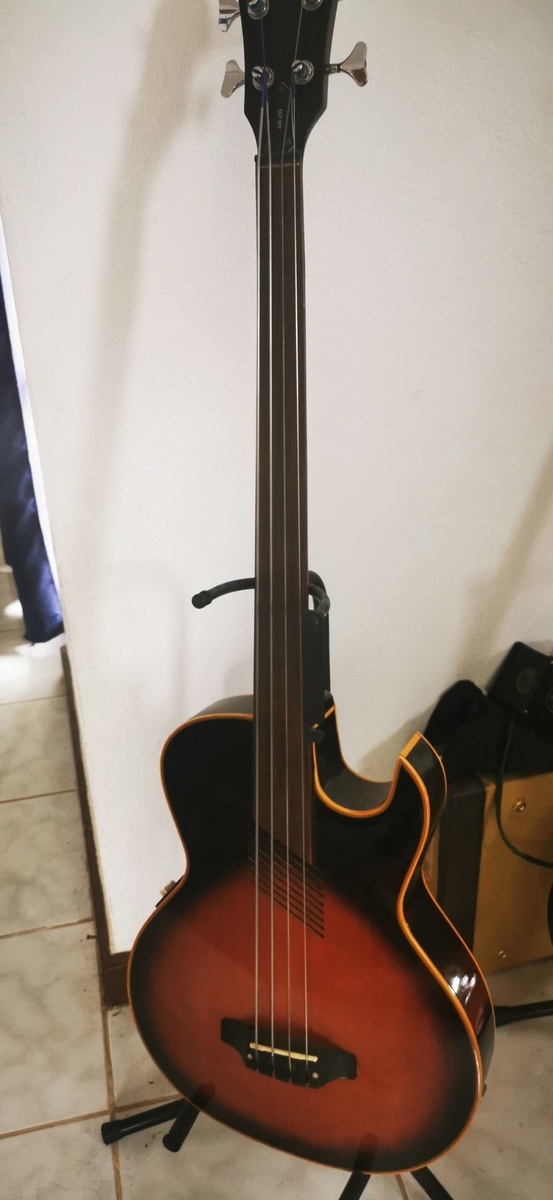 Music Gear Setup by jwettel featuring Washburn AB-20 Acoustic/Electric Bass