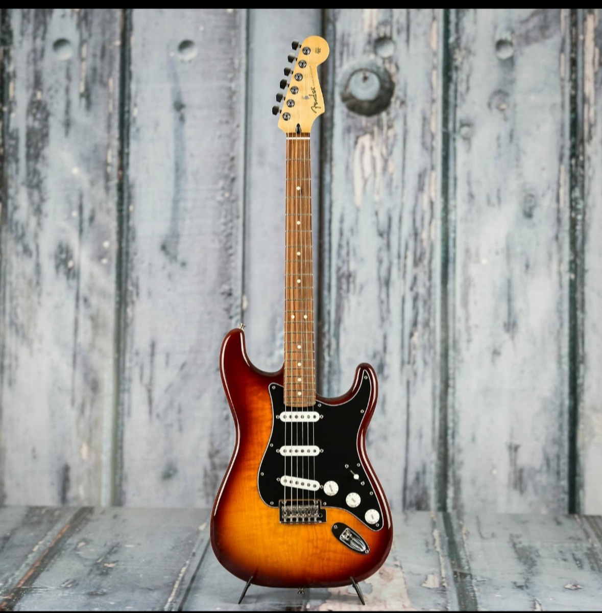 Music Gear Setup by esquire25 featuring Fender Player Stratocaster