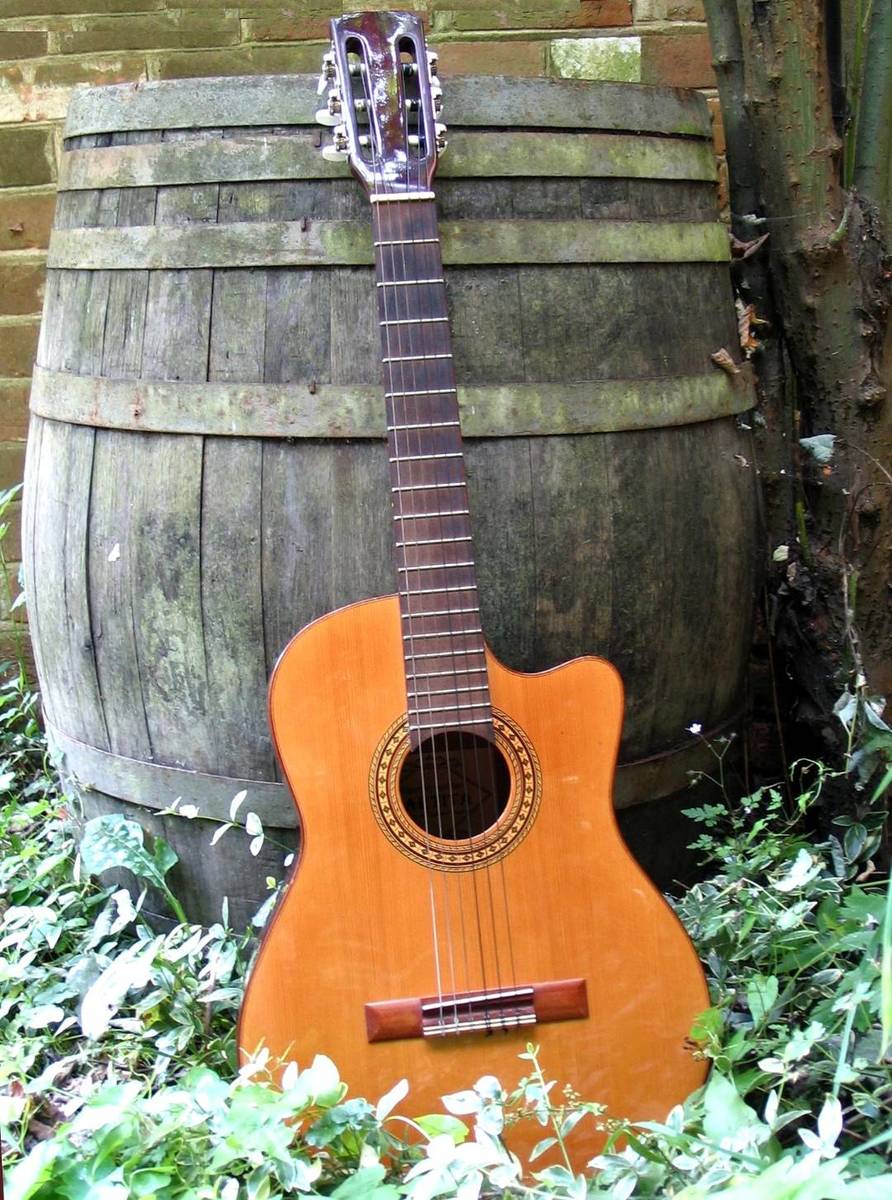 g_phone's music gear photo