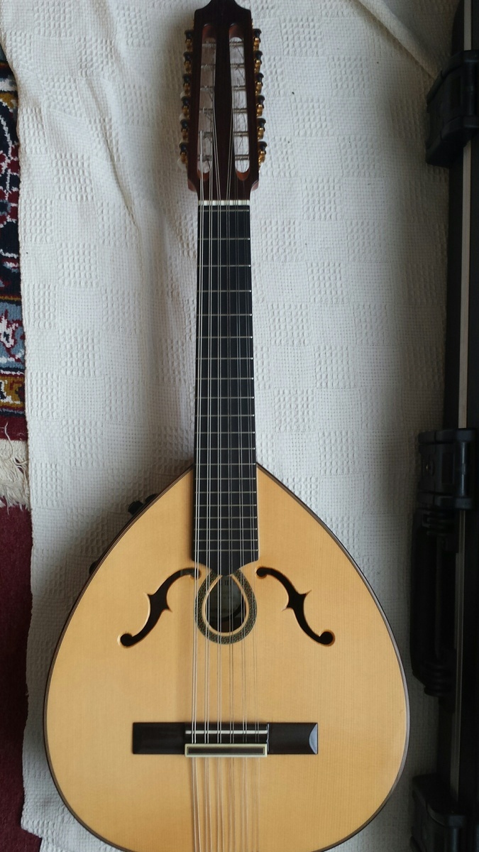 aravin_dhillon's music gear photo