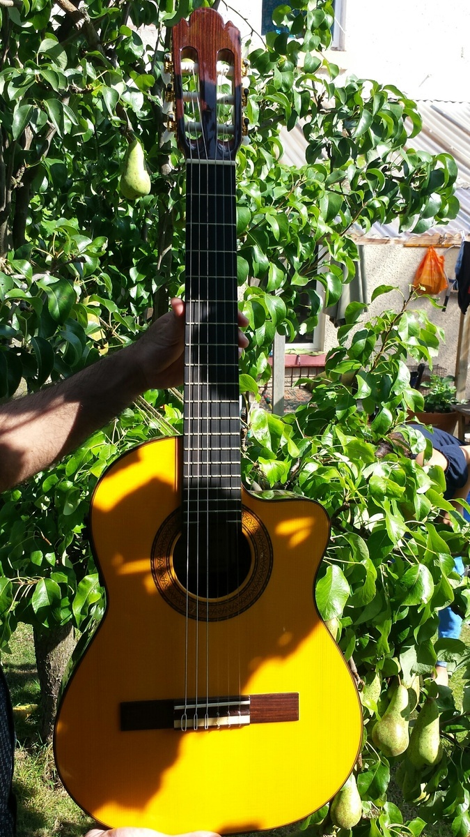 aravin_dhillon's music gear photo