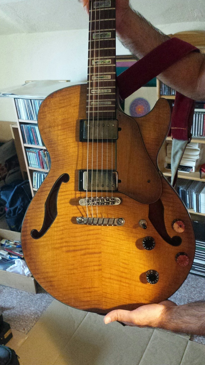 Music Gear Setup by aravin_dhillon featuring Ibanez Artcore AGS83B--12-01