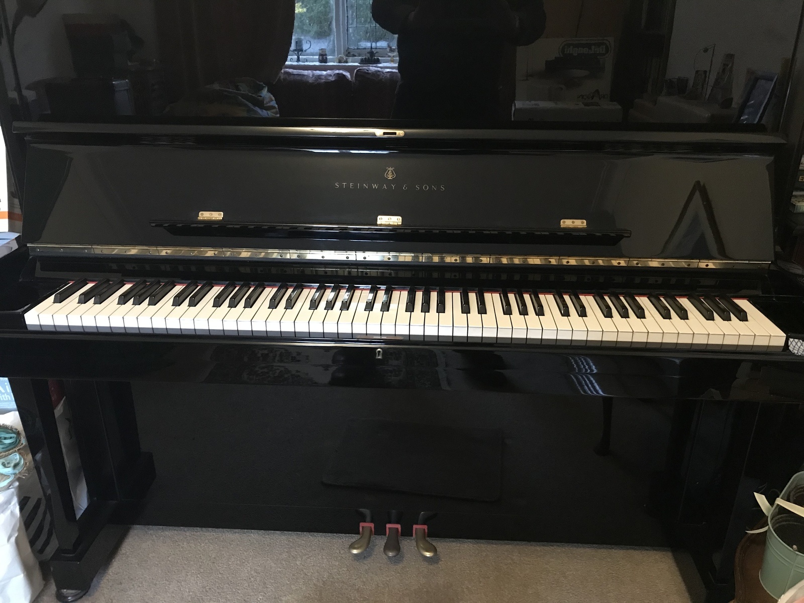 Music Gear Setup by evil_c featuring Steinway & Sons Model K