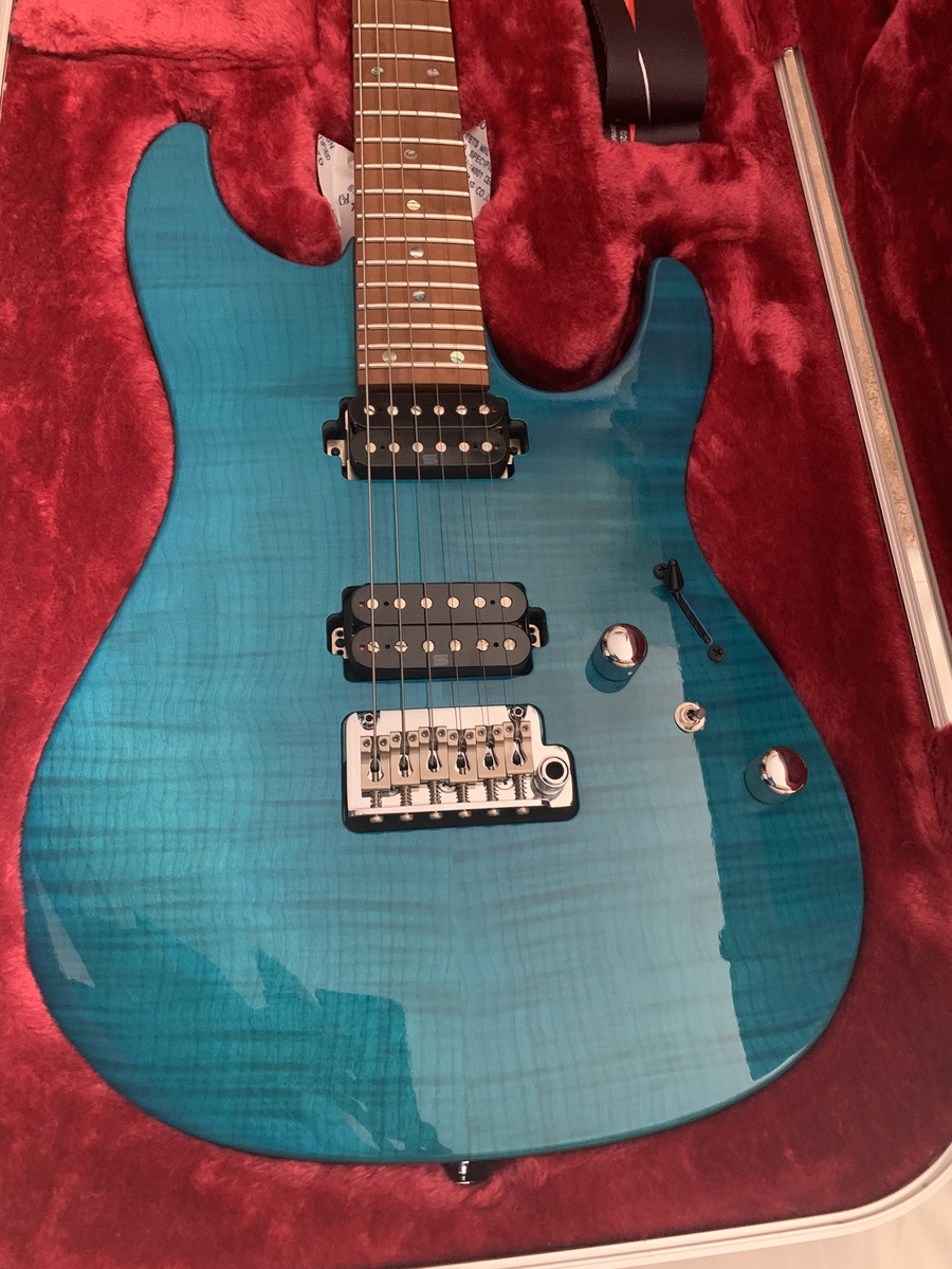 carlosfelton's music gear photo