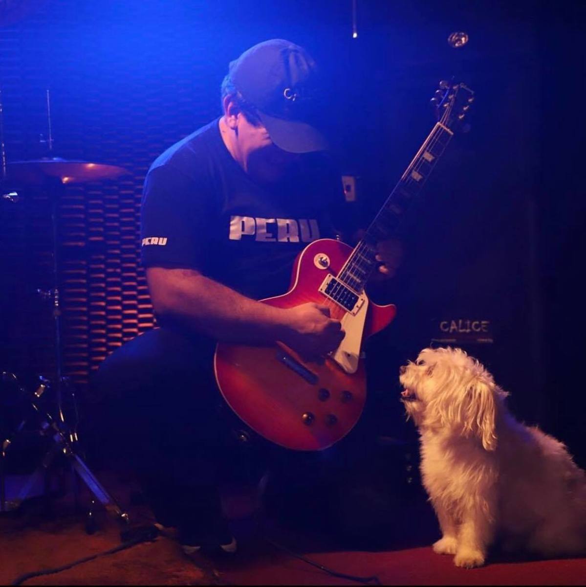 carlitos_calice's music gear photo