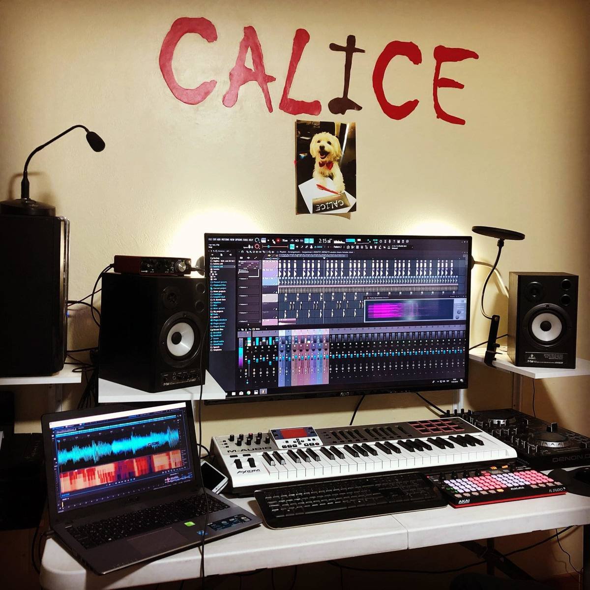 carlitos_calice's music gear photo