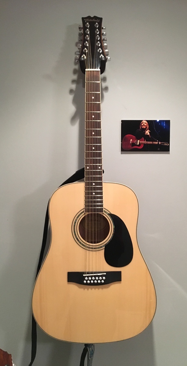 Music Gear Setup by jeffrey_soble featuring Mitchell 12-String (Electric/Acoustic)