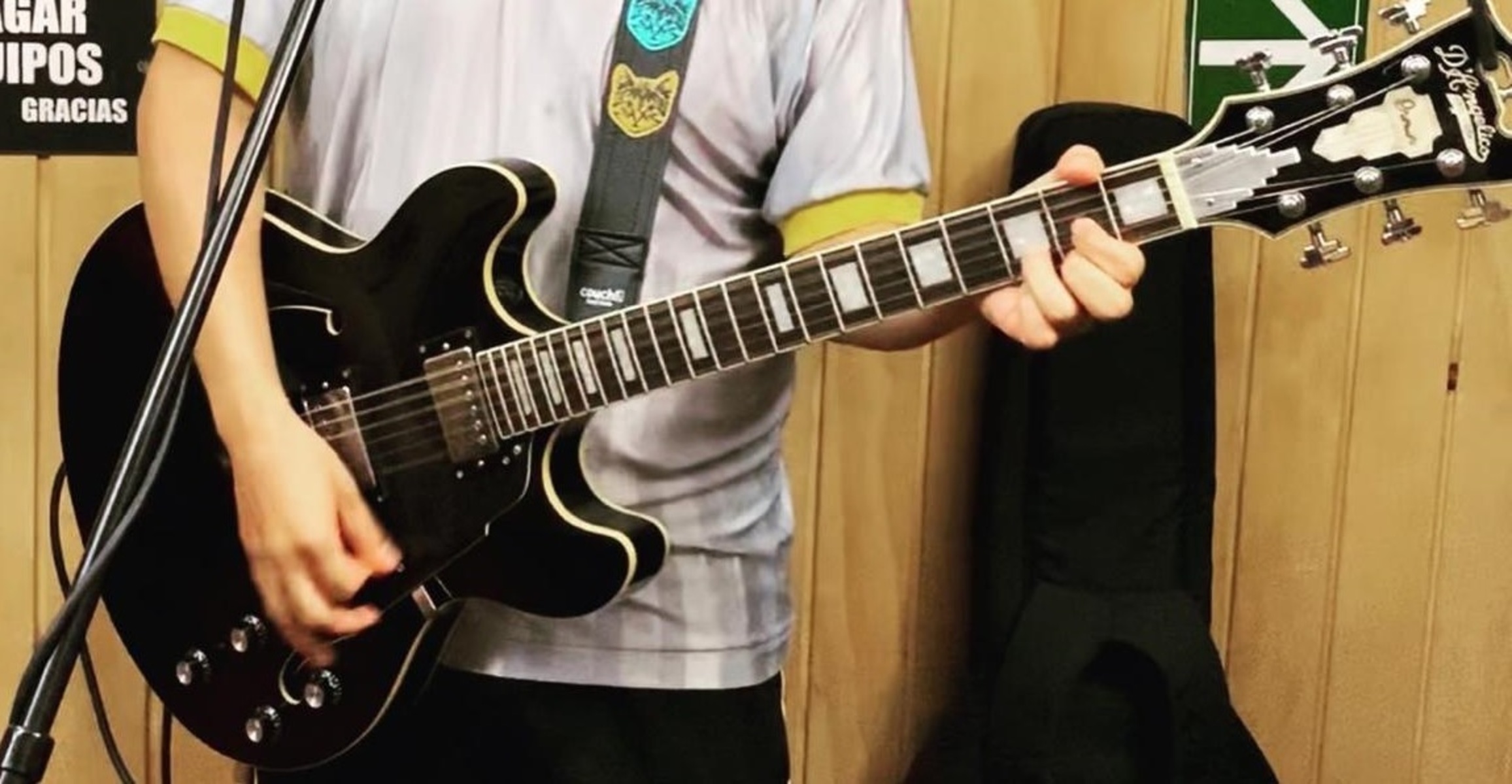 Music Gear Setup by meli_carvajal featuring D'Angelico Premier DC
