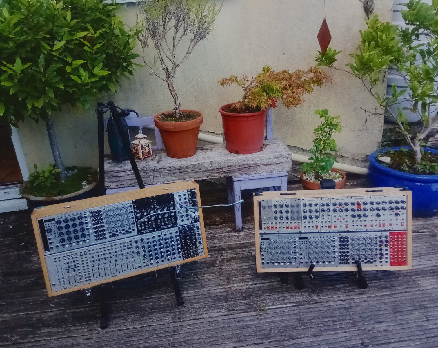 waxcide's music gear photo