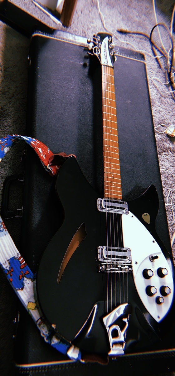 Music Gear Setup by tristan_wright featuring Rickenbacker 330 Electric Guitar
