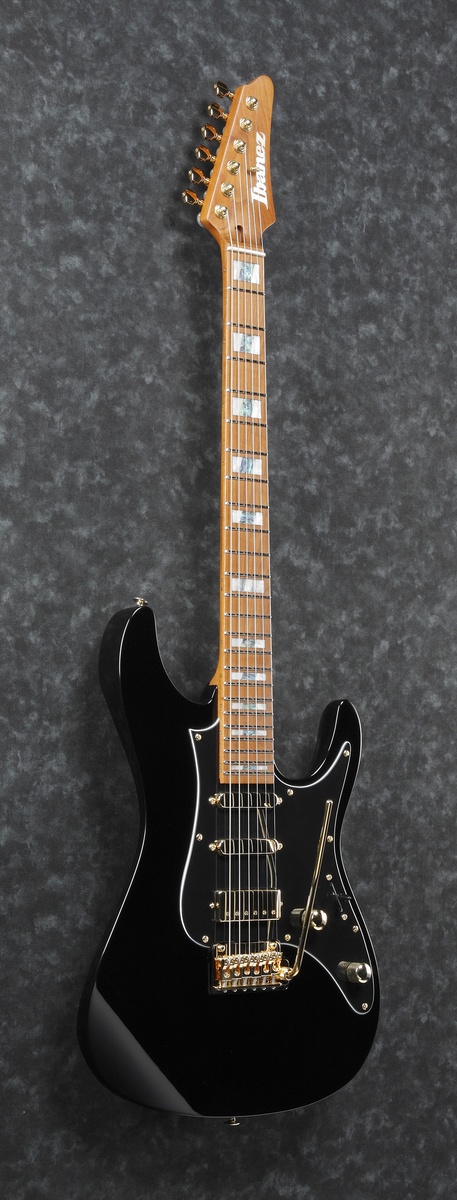 Music Gear Setup by sevyvelde featuring Ibanez THBB10 (Tim Henson Signature Model)