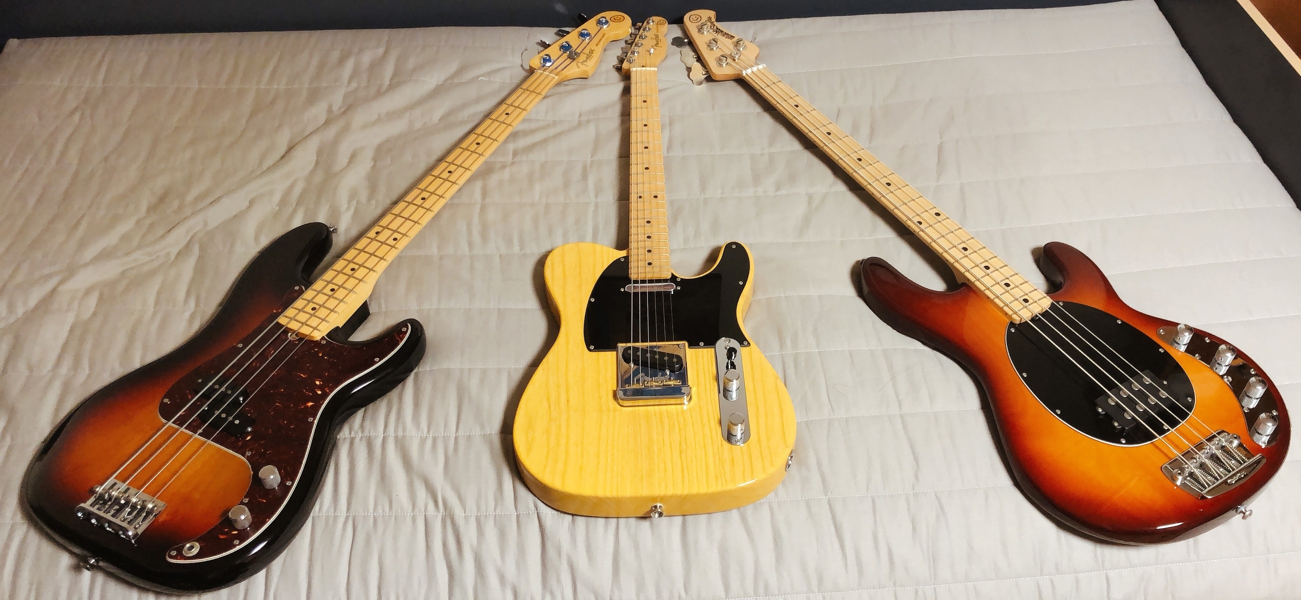 Fender Music Gear Setup by ever_josh featuring Music Man Stingray, Fender Precision Bass, and Fender Telecaster