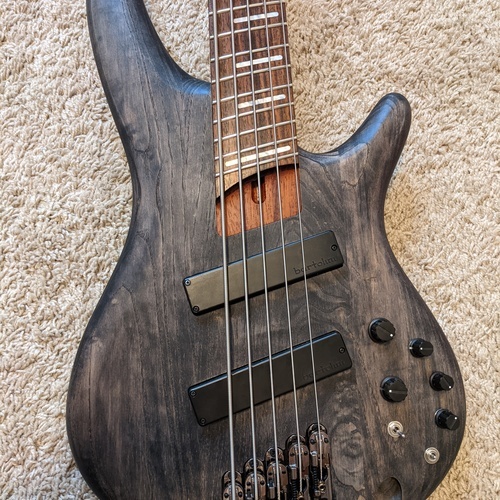 Photo of Ibanez SRFF805 in a bass