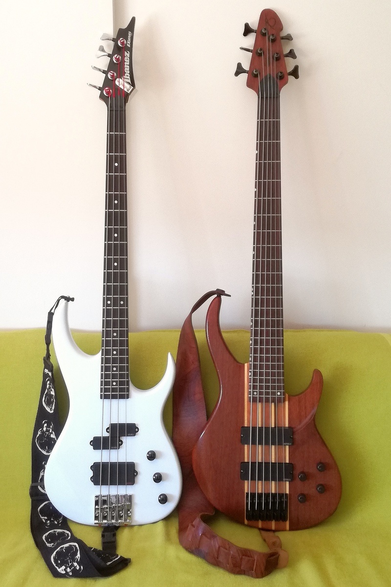 Peavey Studio Setup by gillyribeiro featuring Ibanez EXB404 and Peavey Grind 6