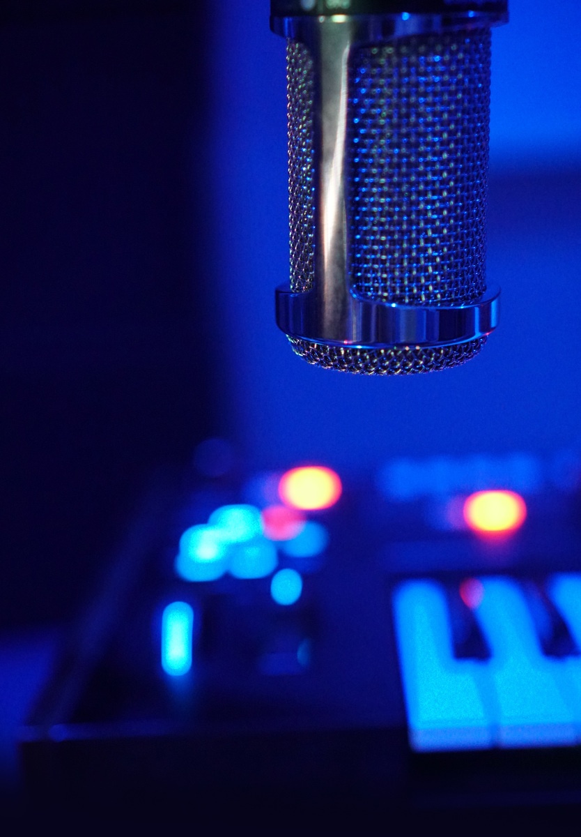 Electronic Synth Setup by bassic featuring Novation Summit, Audio-Technica AT-2010, and Softube Vocoder