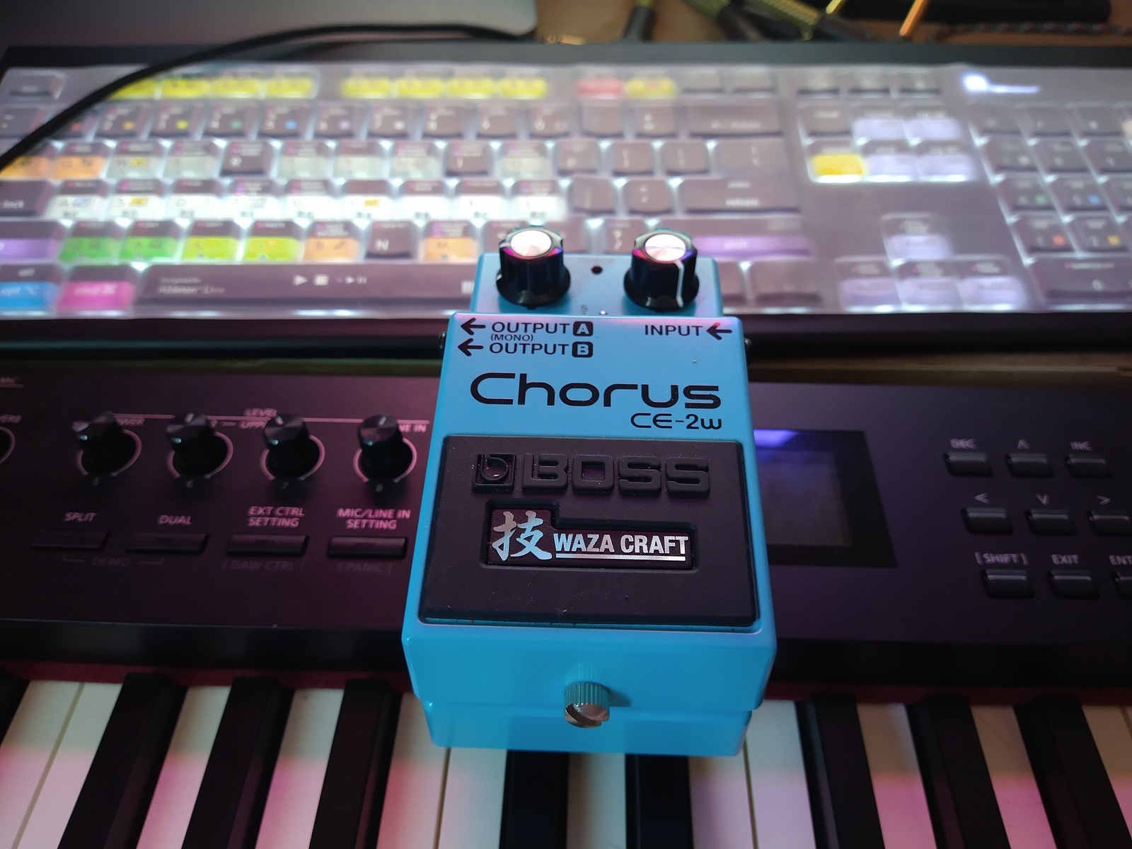 Pedalboard by targo featuring Boss CE-2W Chorus Waza Craft