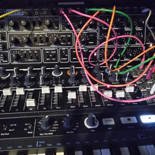 junkie_bass_studios's gear photo