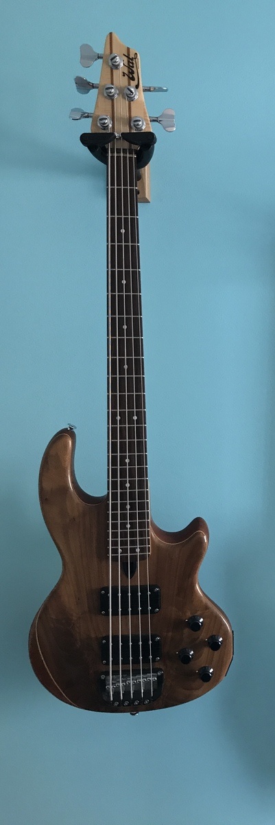 Music Gear Setup by shahar_levy featuring Wal Mk II 5-String Bass