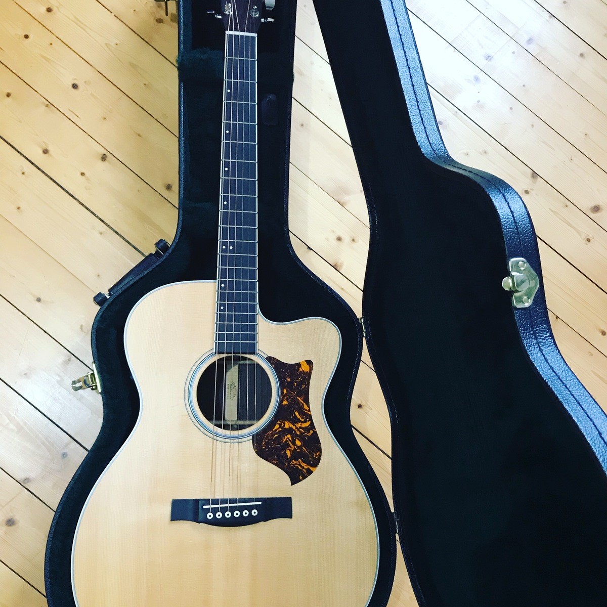 Music Gear Setup by clo_guitar featuring Martin OMCPA3