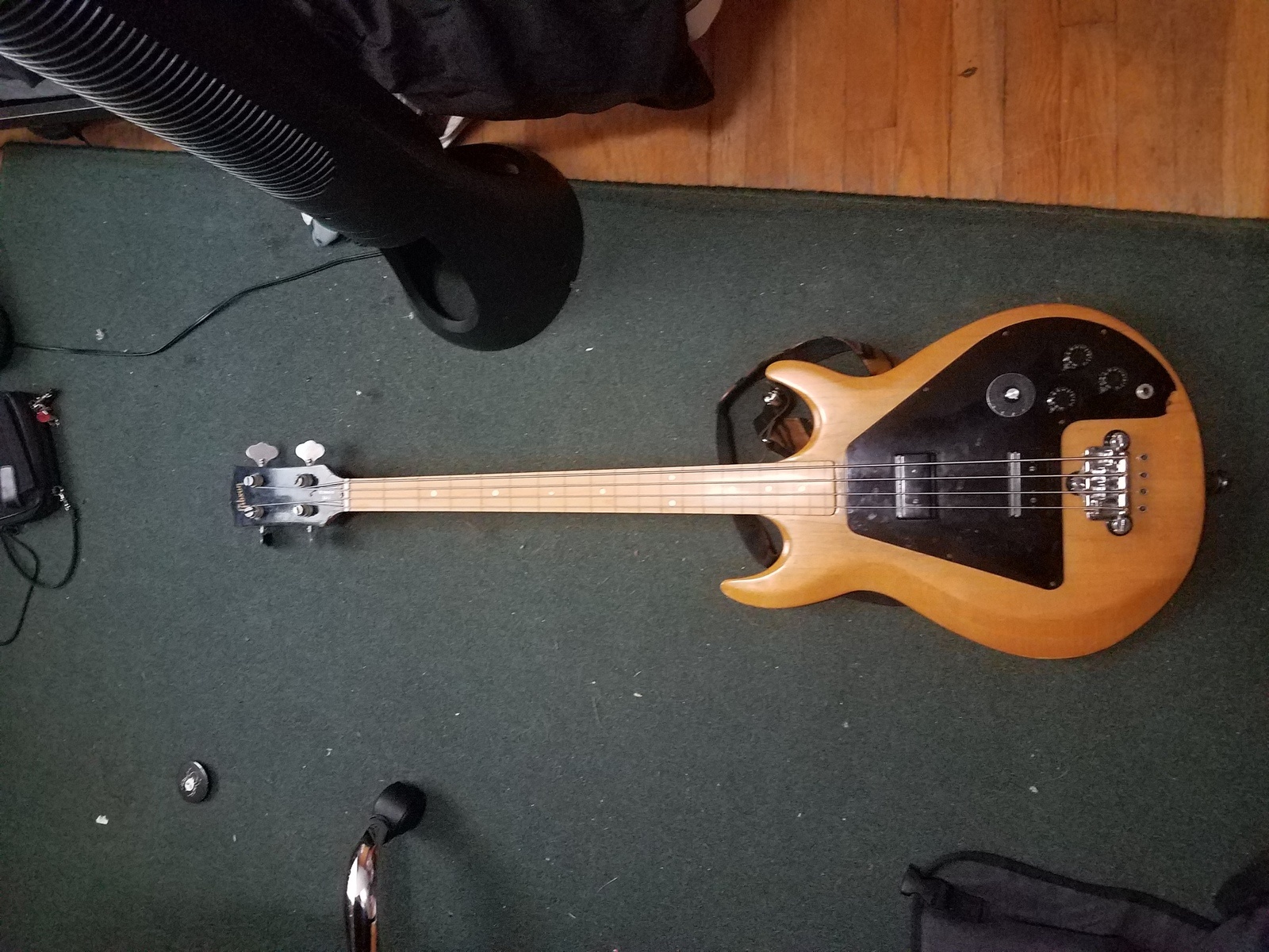 Music Gear Setup by naturalbornvillianess featuring Gibson Ripper Fretless Bass