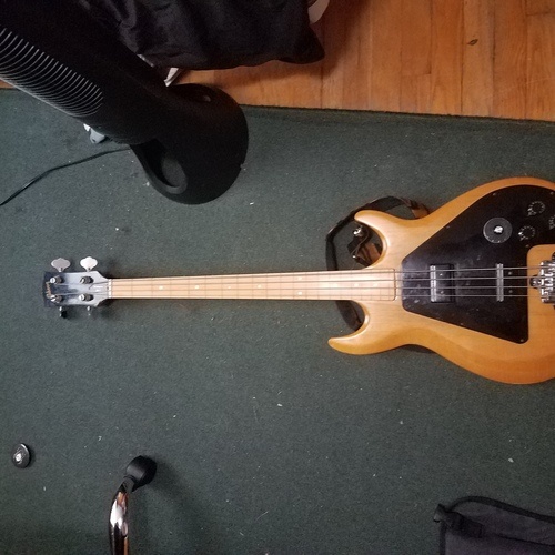 naturalbornvillianess's gear photo