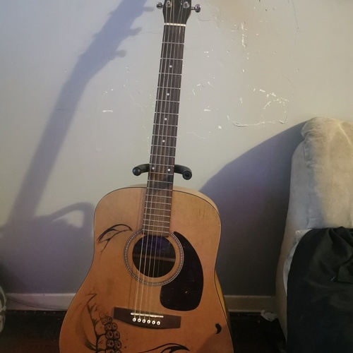 Photo of Seagull S6 Original in a guitar