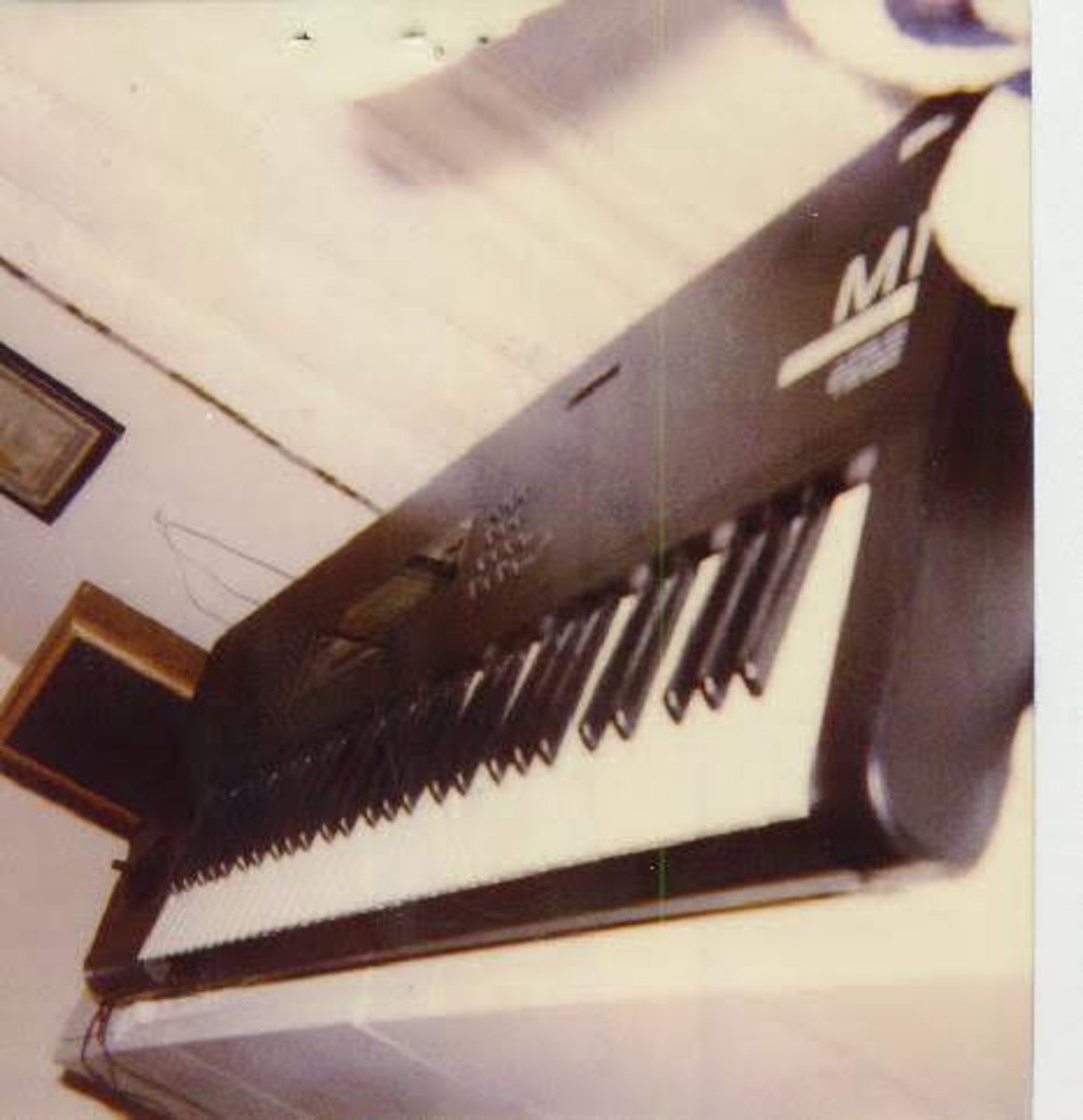 terryshaw's music gear photo