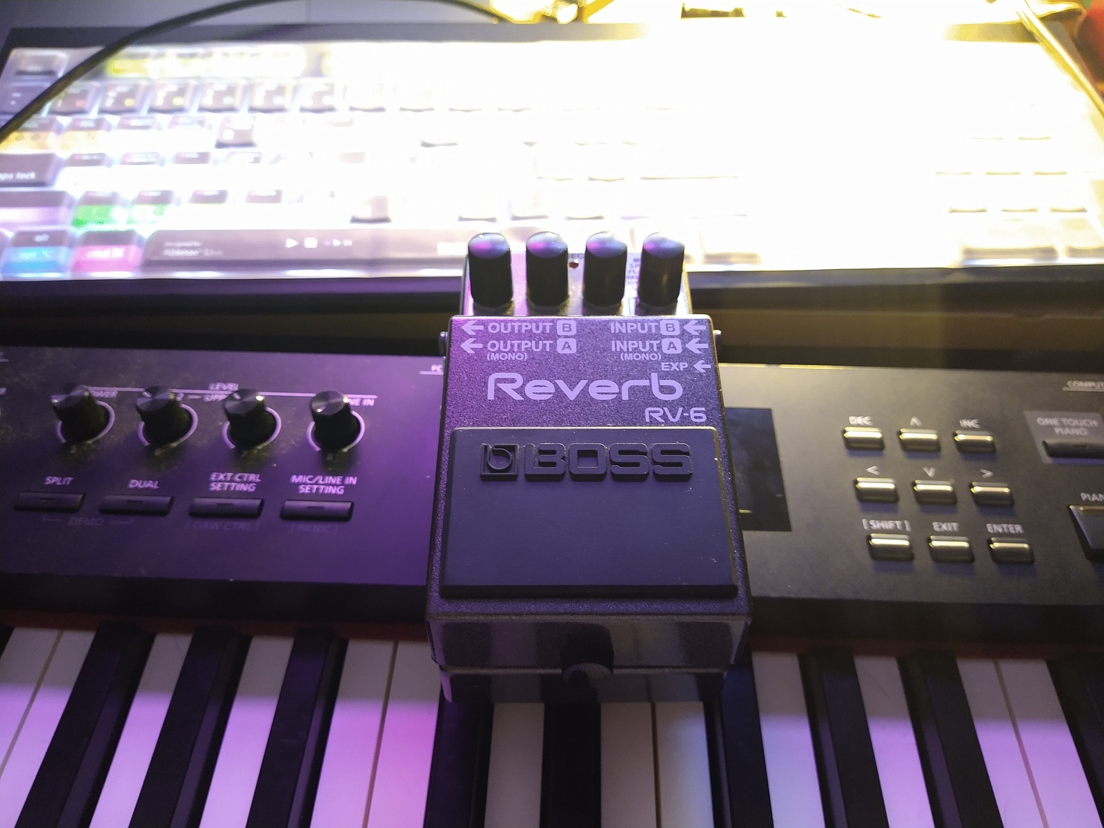 Pedalboard by targo featuring Boss RV-6 Reverb