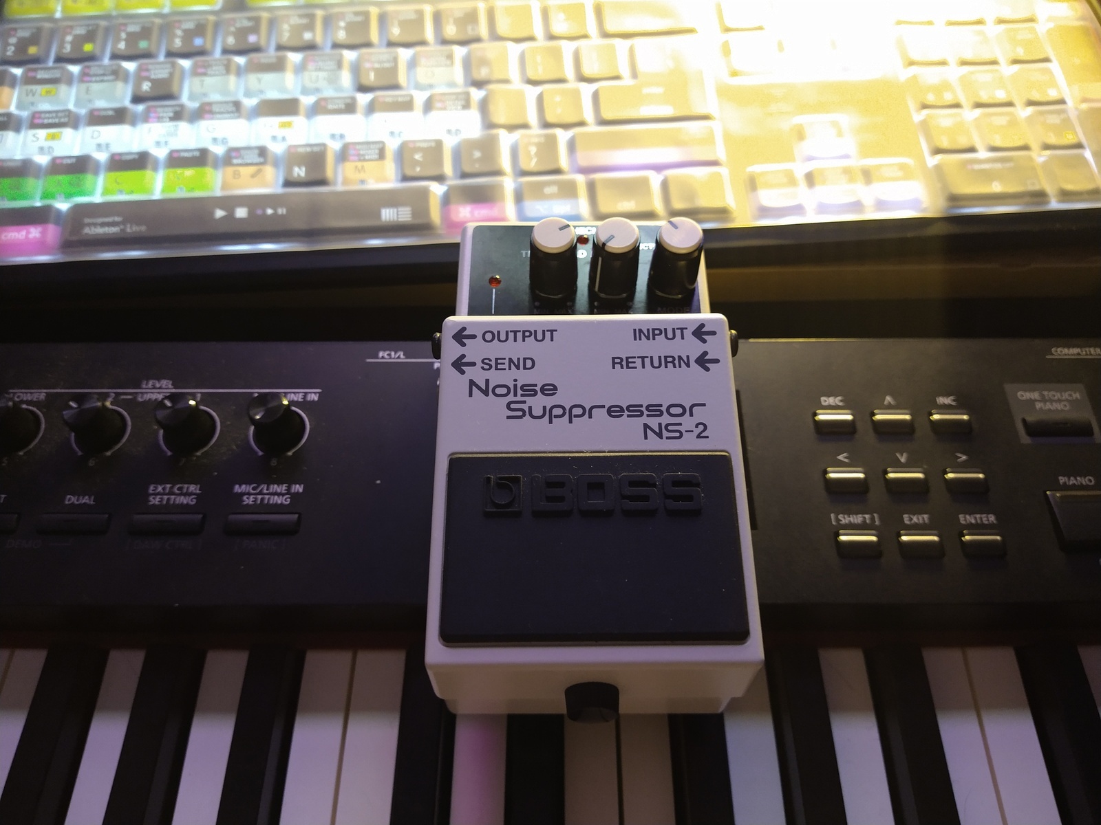 Metal Pedalboard by targo featuring Boss NS-2 Noise Suppressor