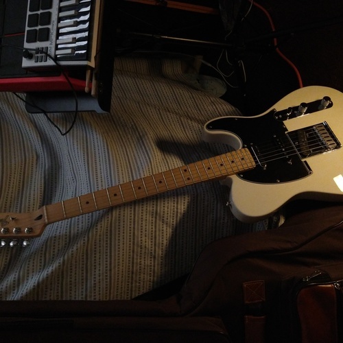 targo's gear photo
