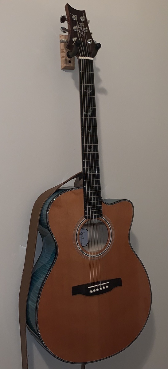 Music Gear Setup by kirk_shanks featuring PRS SE A50E