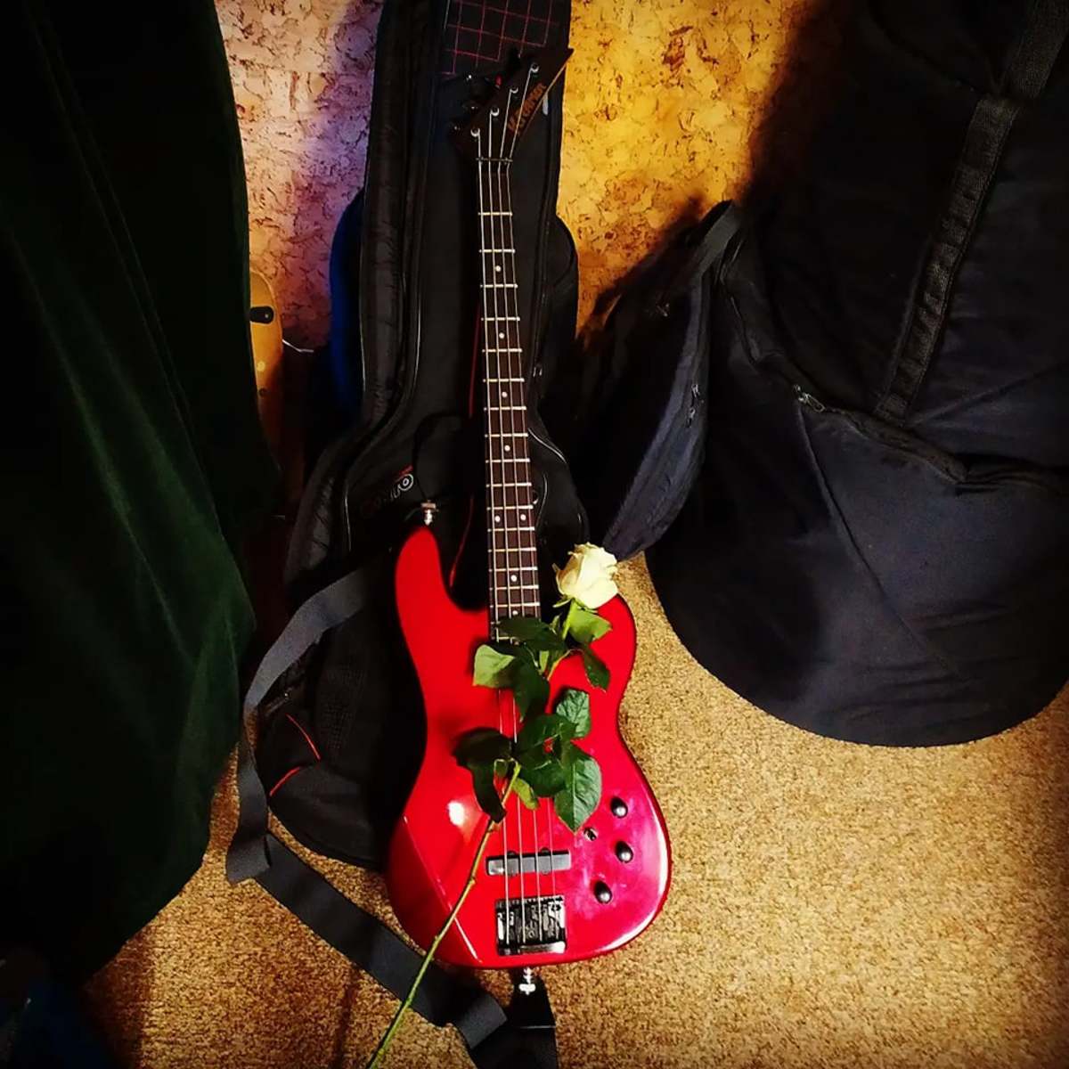 Music Gear Setup by robertfrederickk featuring Kramer 710 Bass Guitar