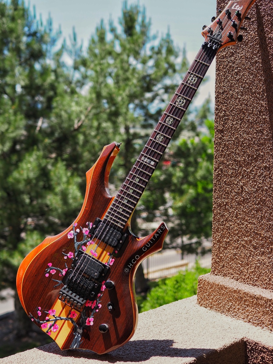Music Gear Setup by hco_guitars featuring LTD ESP LTD F-2e