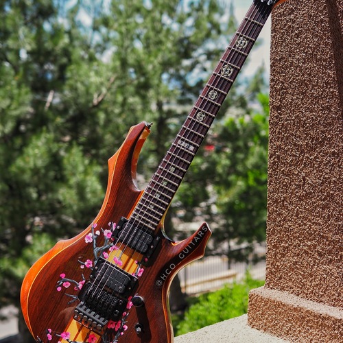 Photo of LTD ESP LTD F-2e in a guitar
