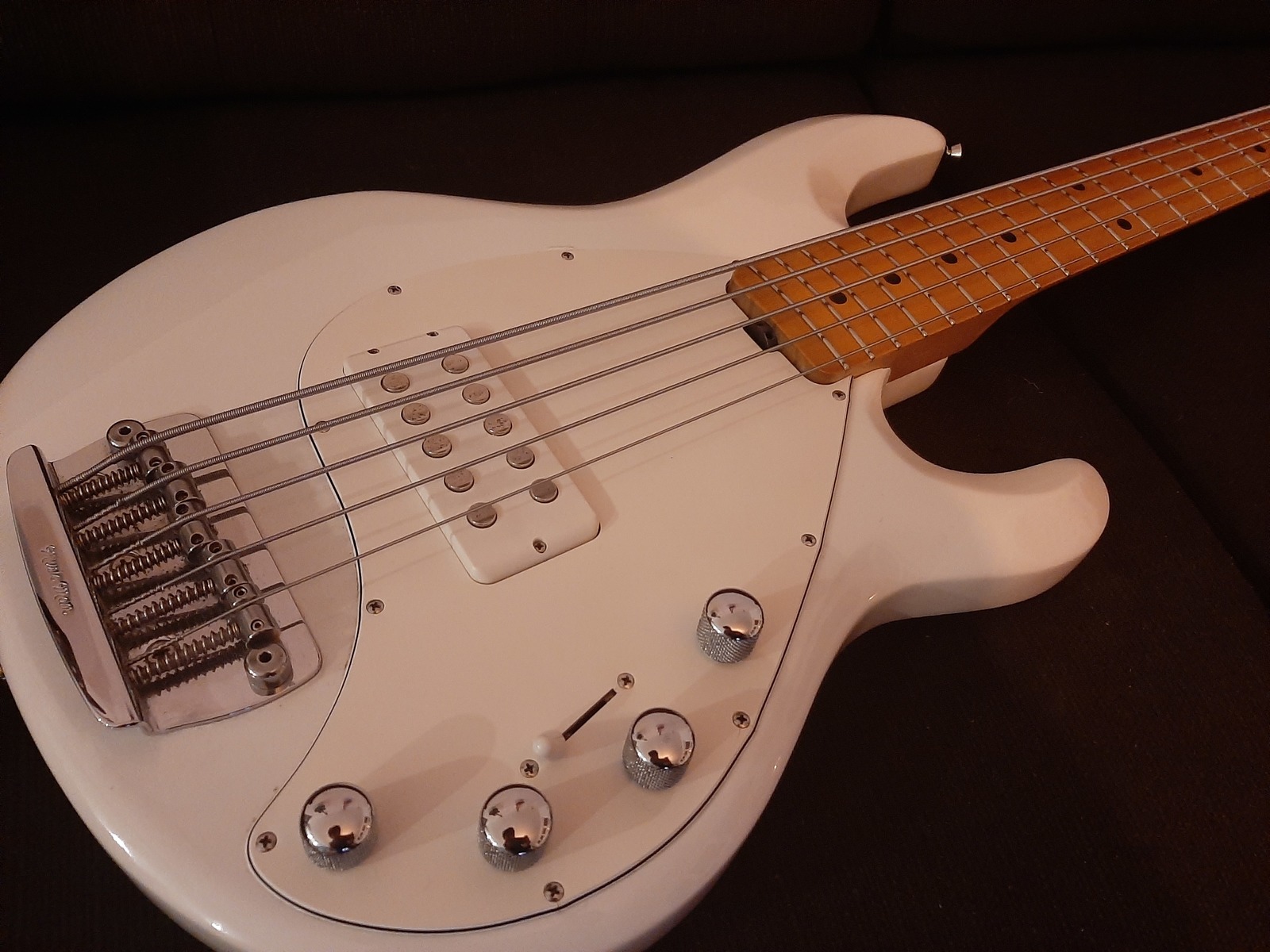 Metal Music Gear Setup by raphbass featuring Music Man Stingray 5