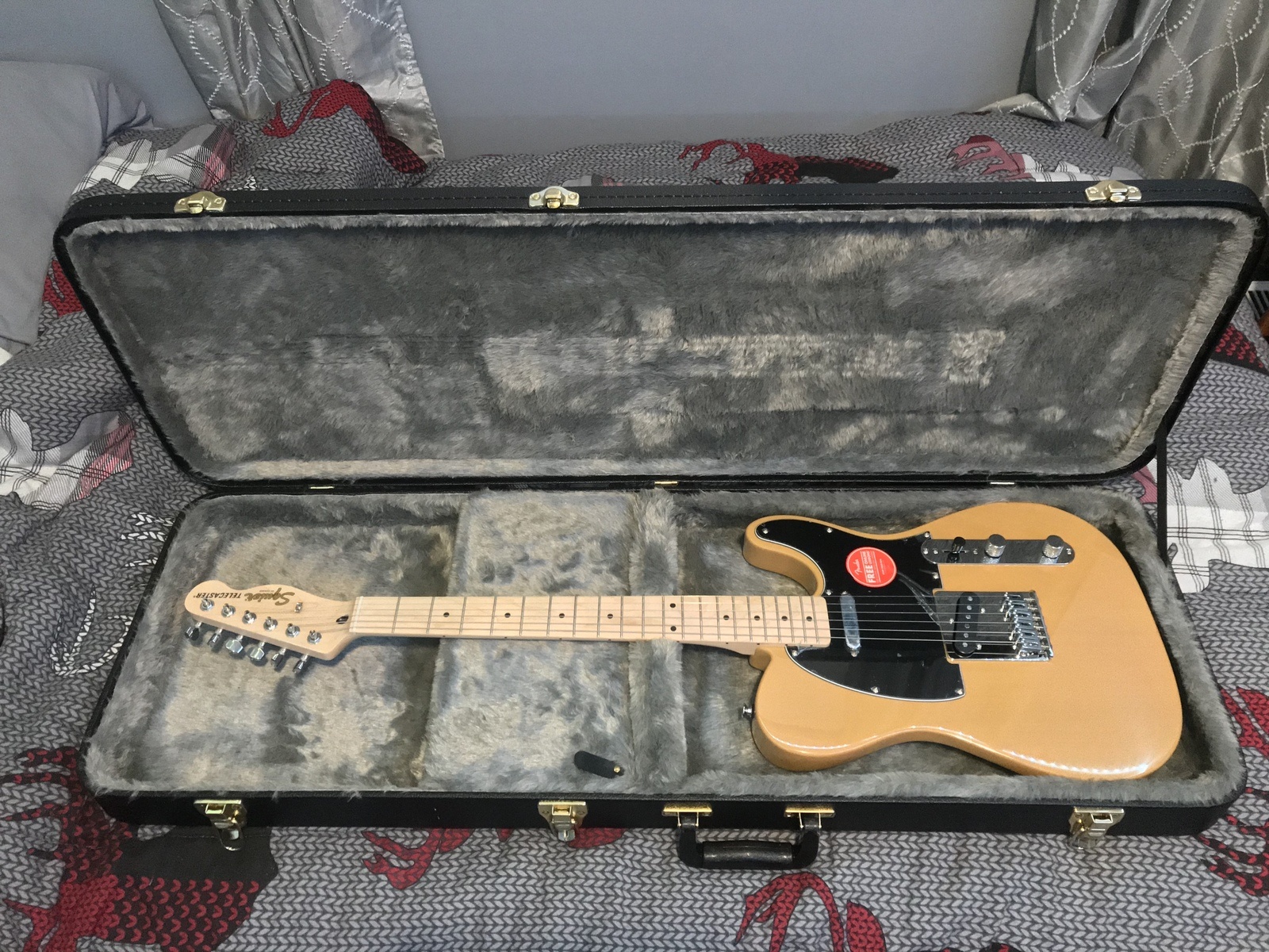 Punk Music Gear Setup by andrewwilton99 featuring Squier Affinity Series Telecaster