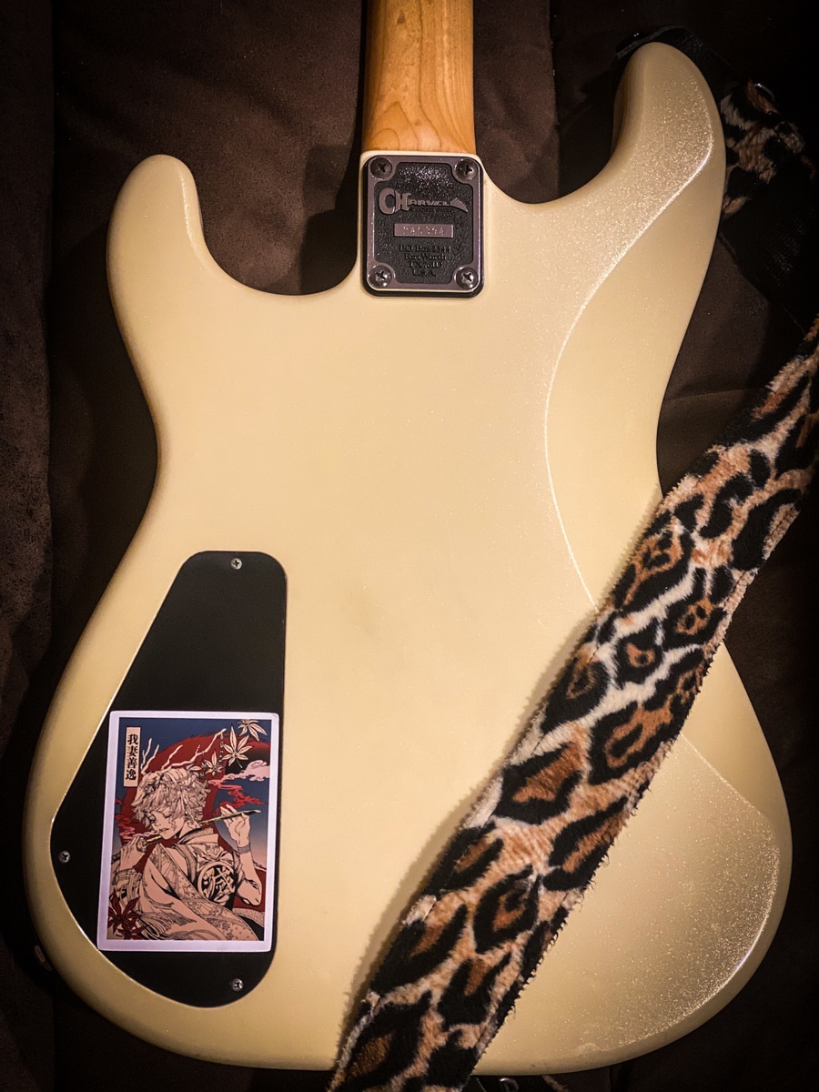 Music Gear Setup by vs_jones featuring Charvel Model 4
