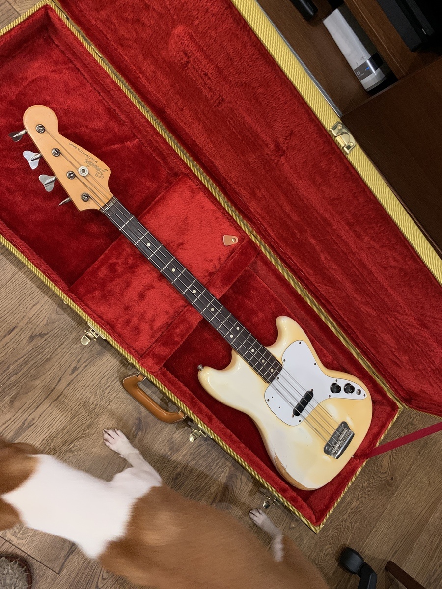 Music Gear Setup by shugaykin featuring Fender Musicmaster Bass