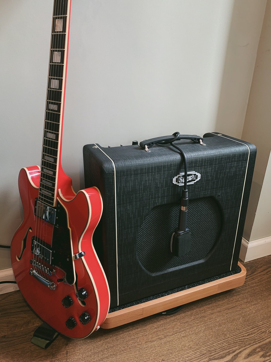 D'Angelico Amp Rig by shugaykin featuring D'Angelico Premier Mini DC and Supro 1812R Blues King 12