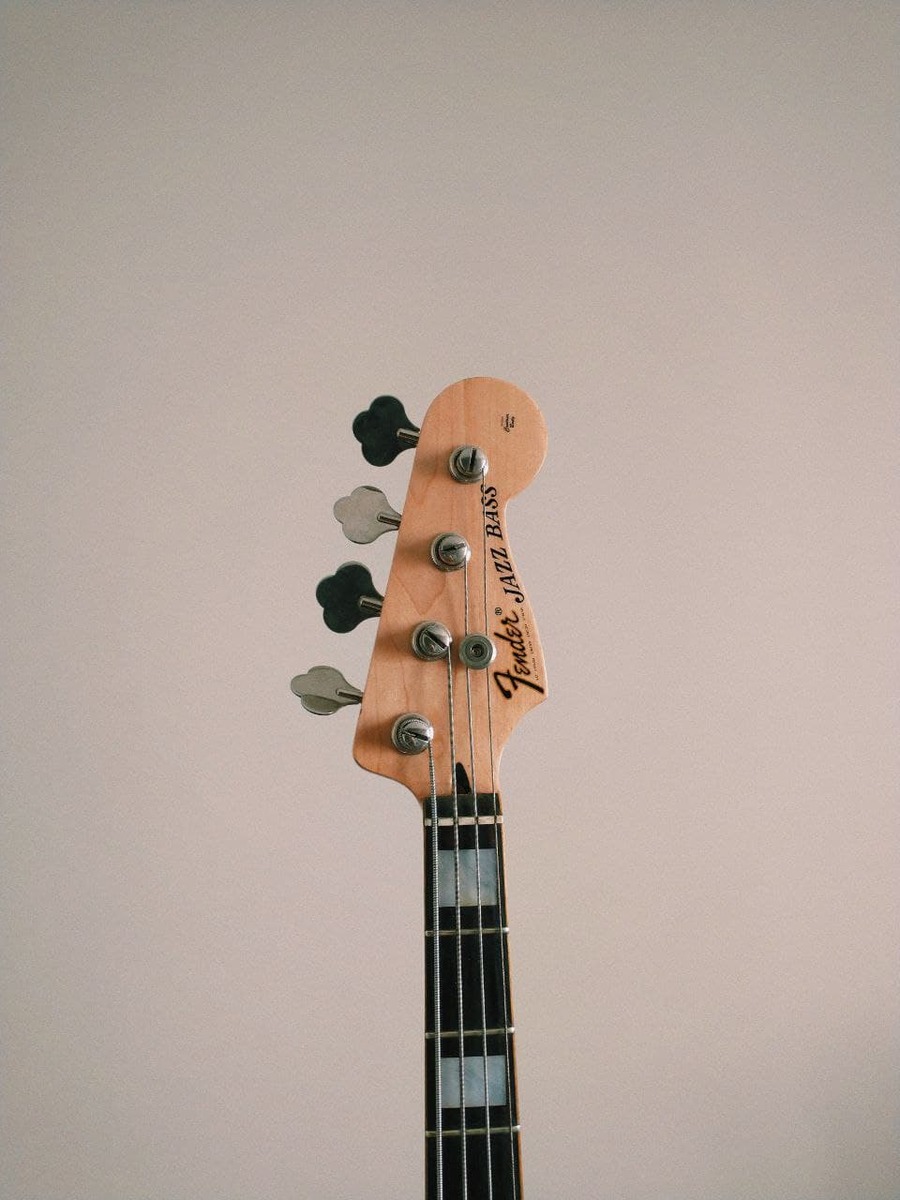 Music Gear Setup by leoereno featuring Fender Jazz Bass