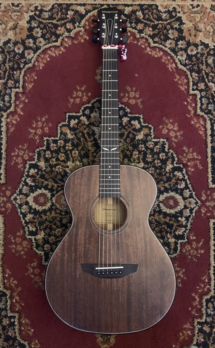 Music Gear Setup by alex_casillas featuring Orangewood Oliver Jr. Mahogany