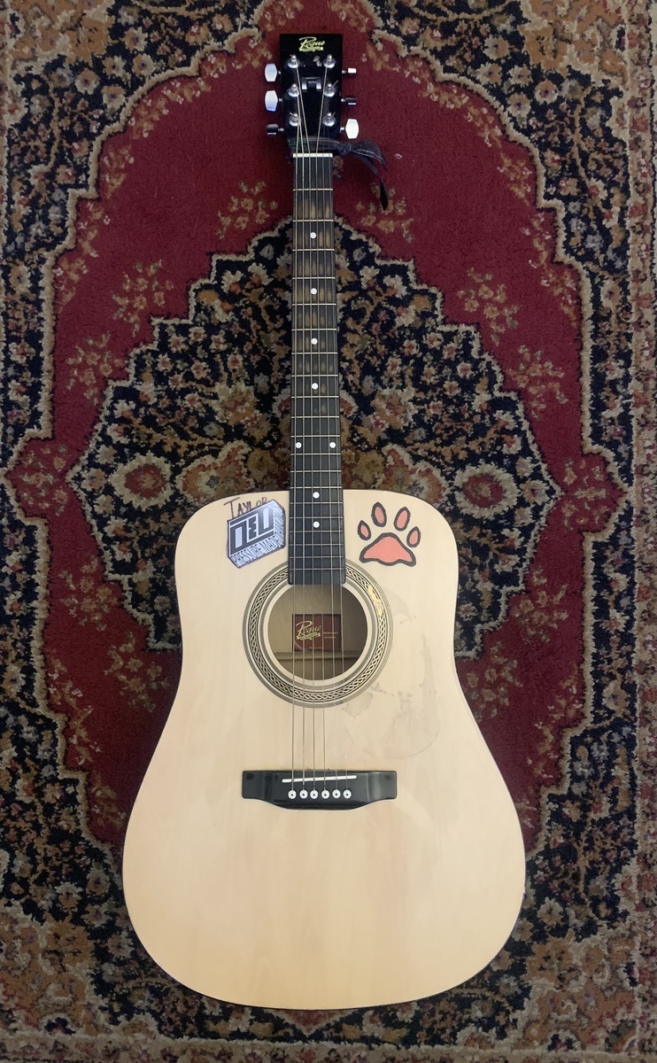 Music Gear Setup by alex_casillas featuring Rogue RA-90 Dreadnaught