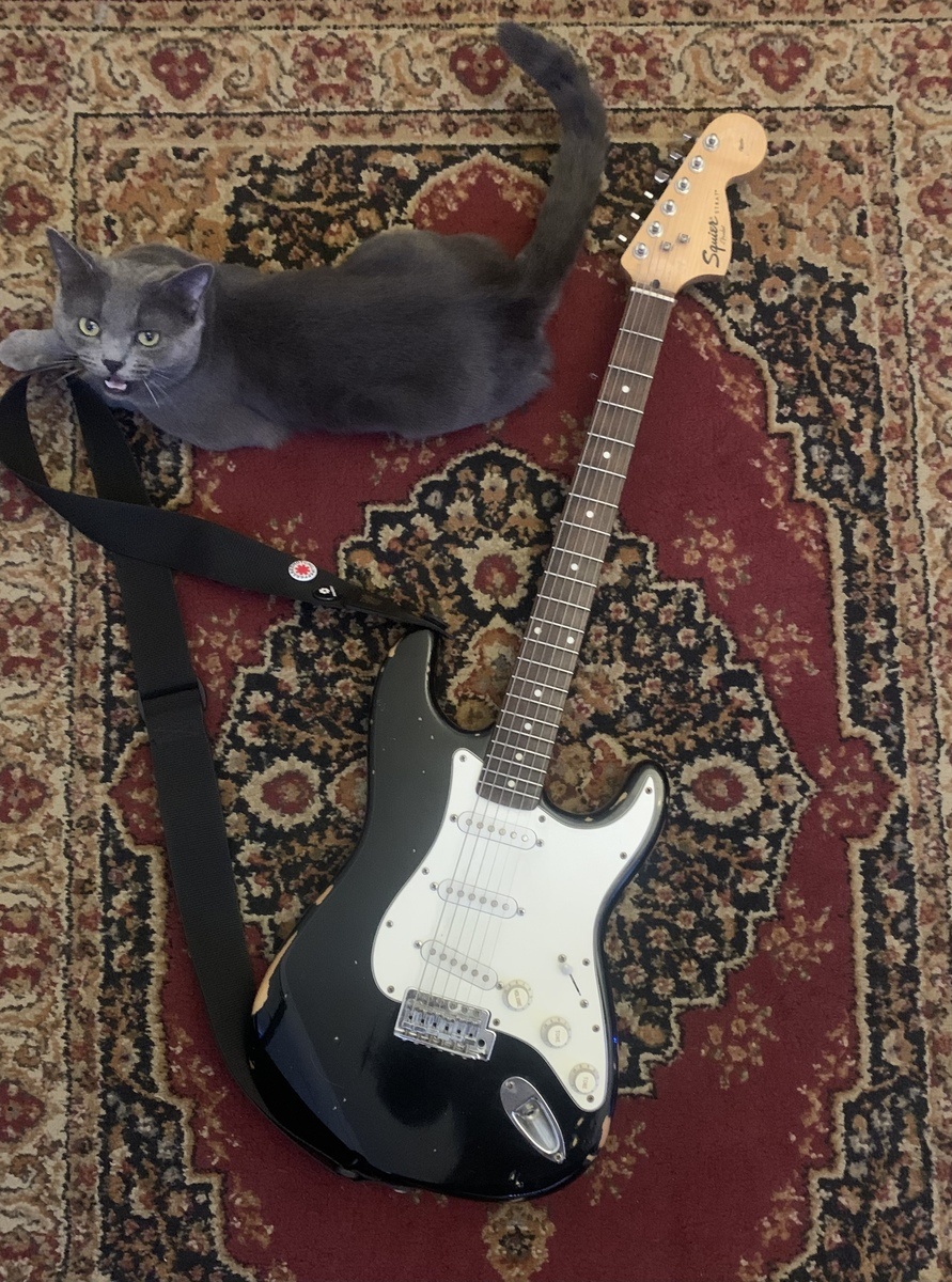 Music Gear Setup by alex_casillas featuring Squier Affinity Series Stratocaster