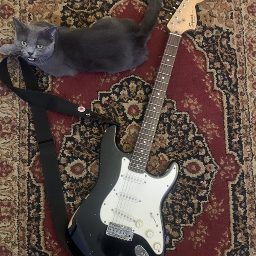 alex_casillas's gear photo