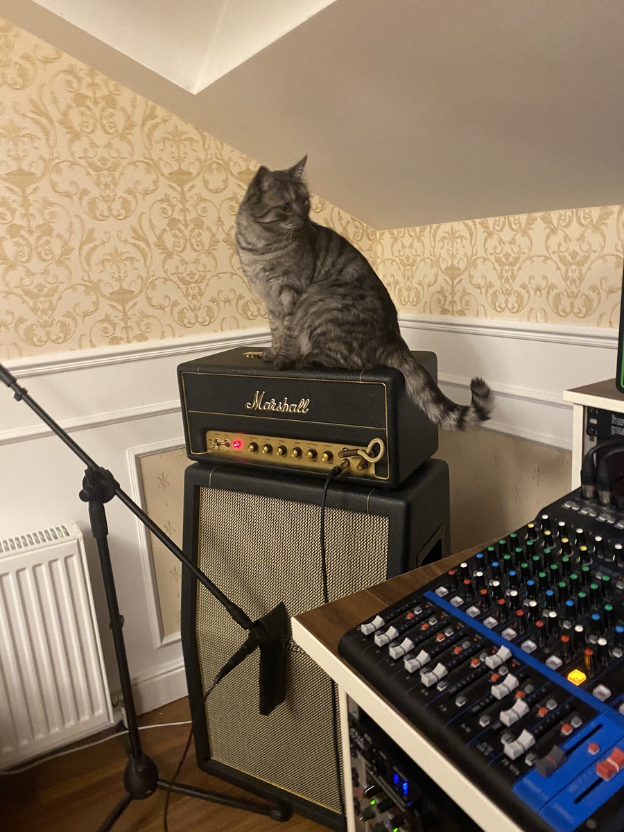 arturshablo's music gear photo