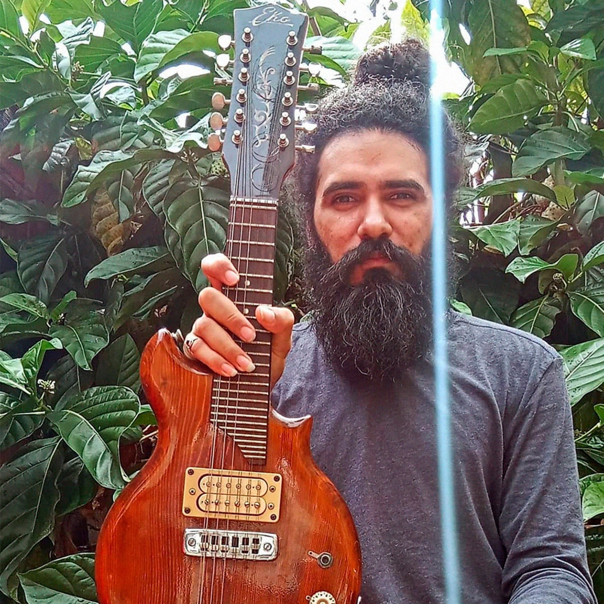 rodrigobrasil's music gear photo