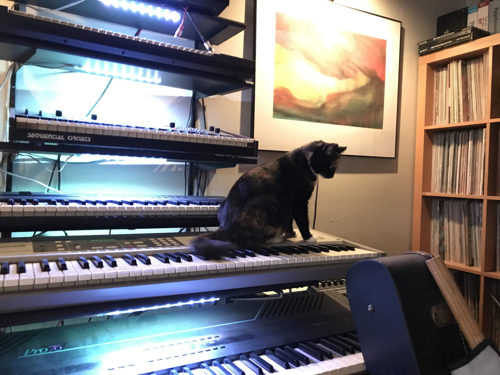 Music Gear Setup by lyford_rome featuring Akai AX73, Sequential Circuits Six-Trak, and Kawai K4 and 2 more pieces of gear